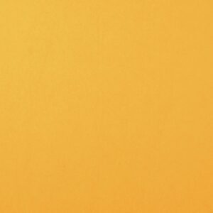 Cardstock smooth Bee - Jaune