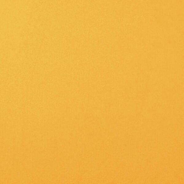 Cardstock smooth Bee - Jaune