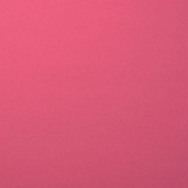 Cardstock smooth Blackberry - Violet