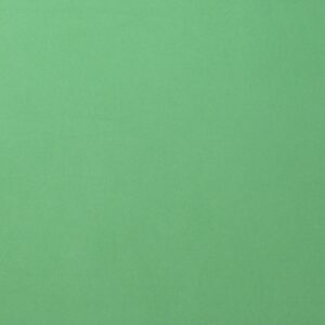 Cardstock smooth Emerald - Vert