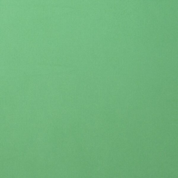 Cardstock smooth Emerald - Vert