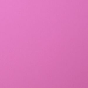Cardstock smooth Hydrangea - Violet