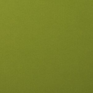Cardstock smooth Olive - Vert
