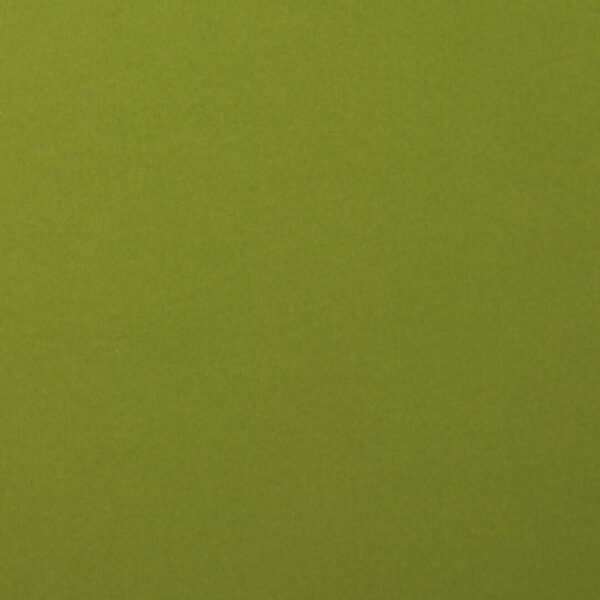 Cardstock smooth Olive - Vert