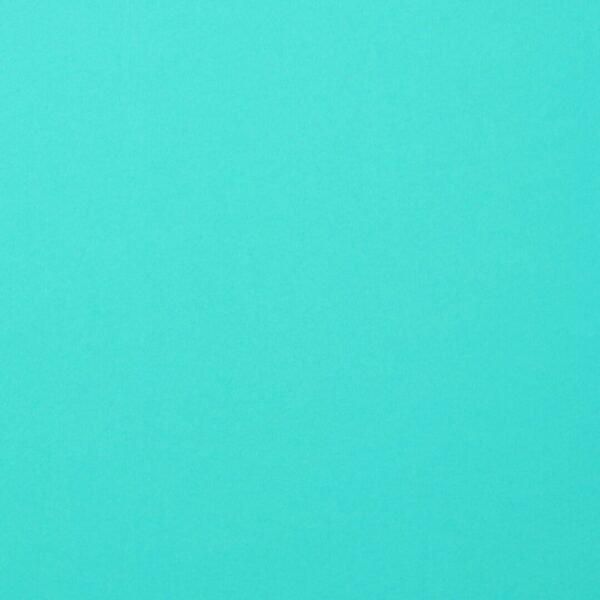 Cardstock smooth Sky - Vert