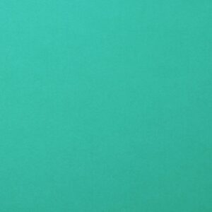 Cardstock smooth Spa - Vert