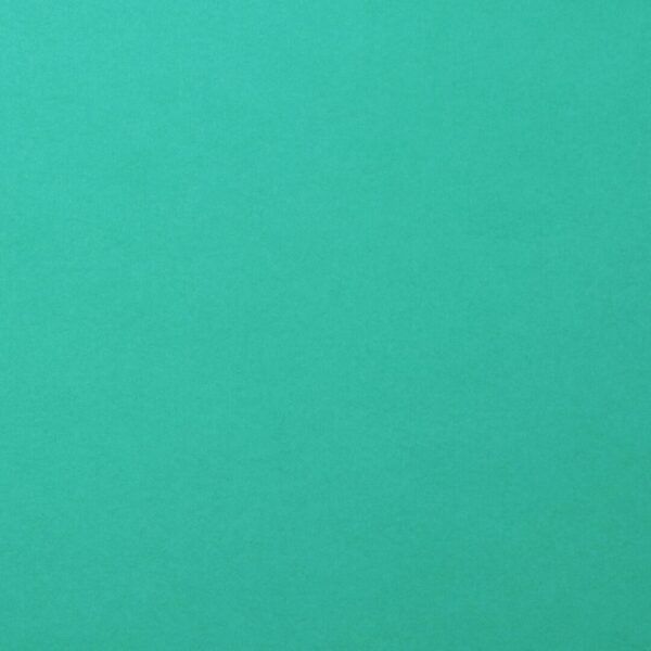 Cardstock smooth Spa - Vert