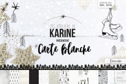Carte blanche