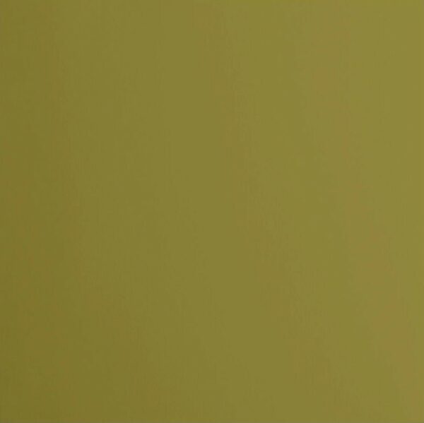 Cardstock smooth Acacia - Vert