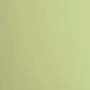 Cardstock smooth Anise - Vert