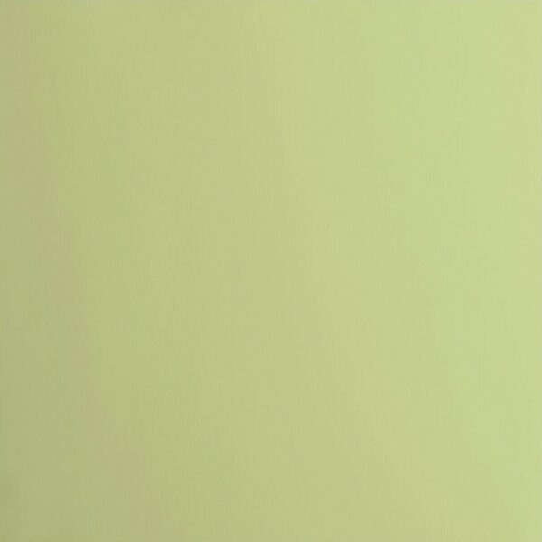 Cardstock smooth Anise - Vert