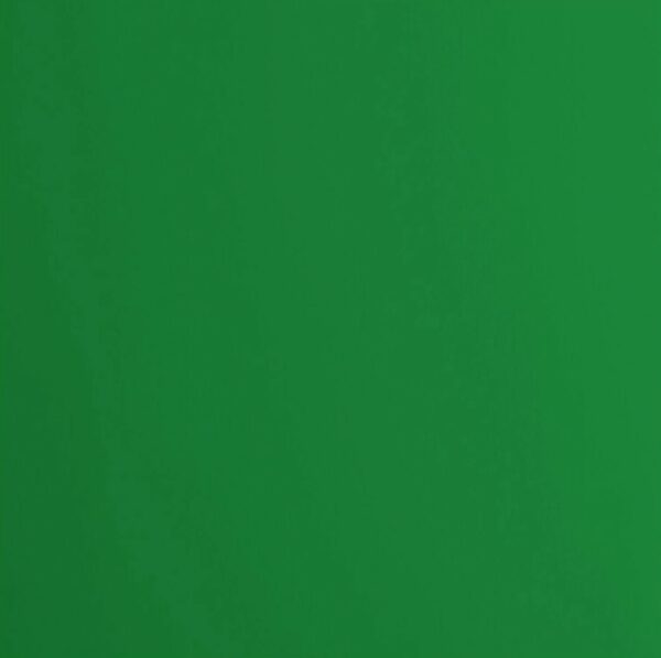 Cardstock smooth Broccoli - Vert