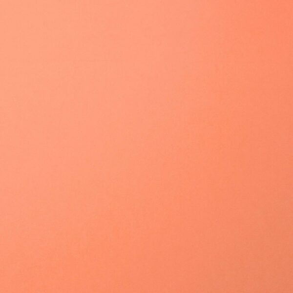 Cardstock smooth Dahlia - Rose