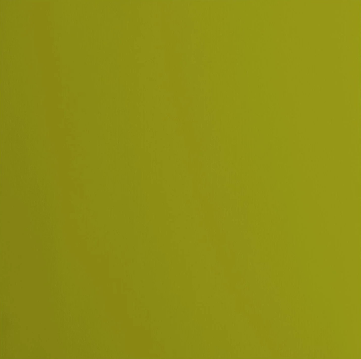 Cardstock smooth Fern - Vert
