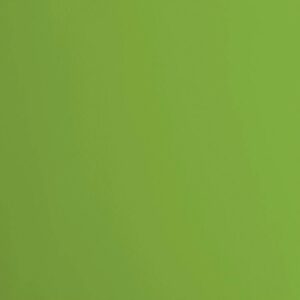 Cardstock smooth Frog - Vert