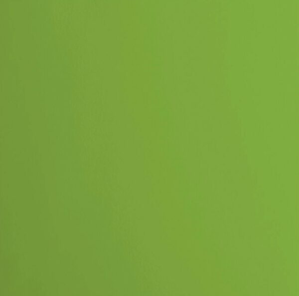 Cardstock smooth Frog - Vert