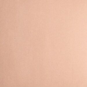 Cardstock smooth Kraft light - Marron