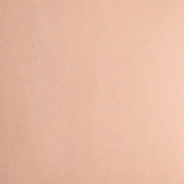 Cardstock smooth Kraft light - Marron