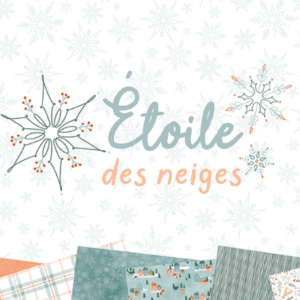 Etoile des neiges