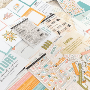 Des abeilles et du chocolat