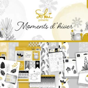 Moments d'hiver