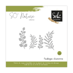 Dies - Feuillages d'automne - So'nature - Sokai