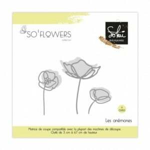 Dies - Les anémones - So'flowers - Sokai